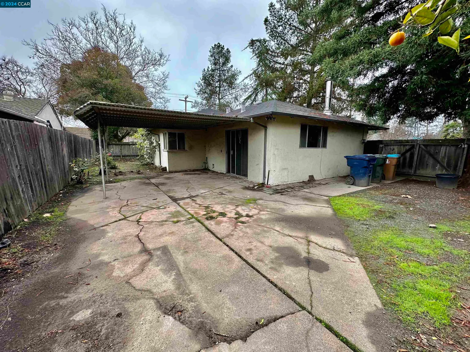 1991 Maybelle Dr — Rear yard, before