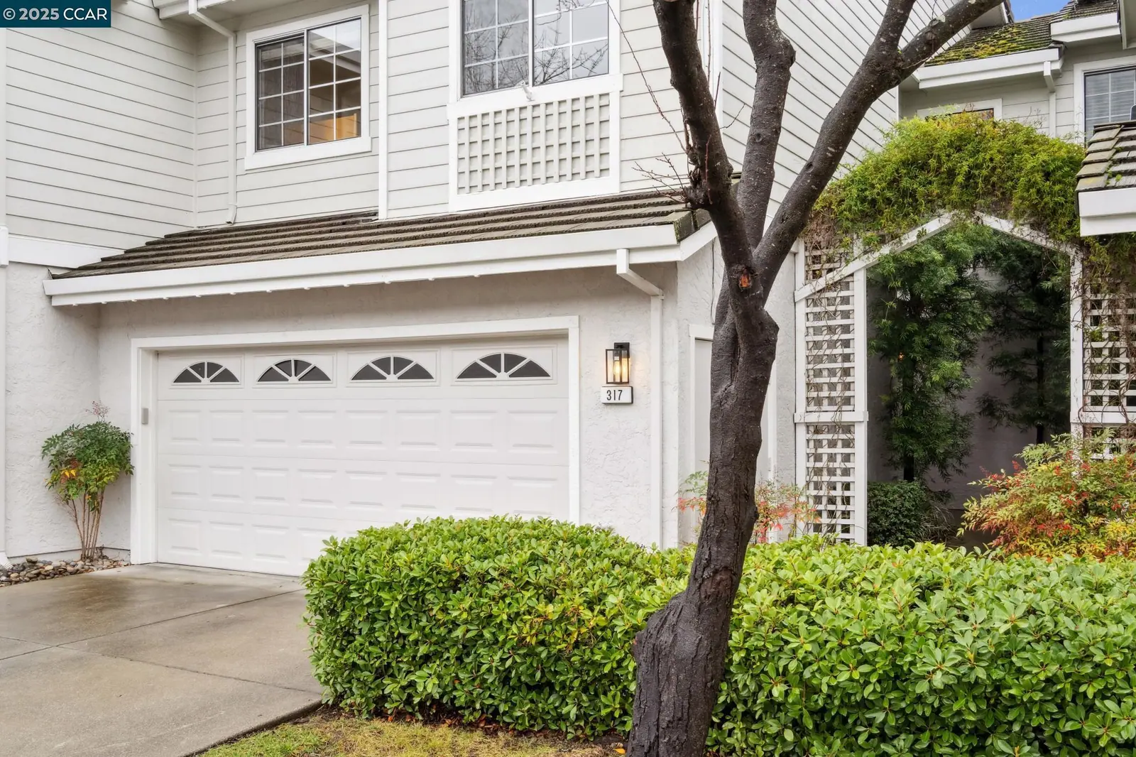 317 W Meadows Ln — completed, photograph 3