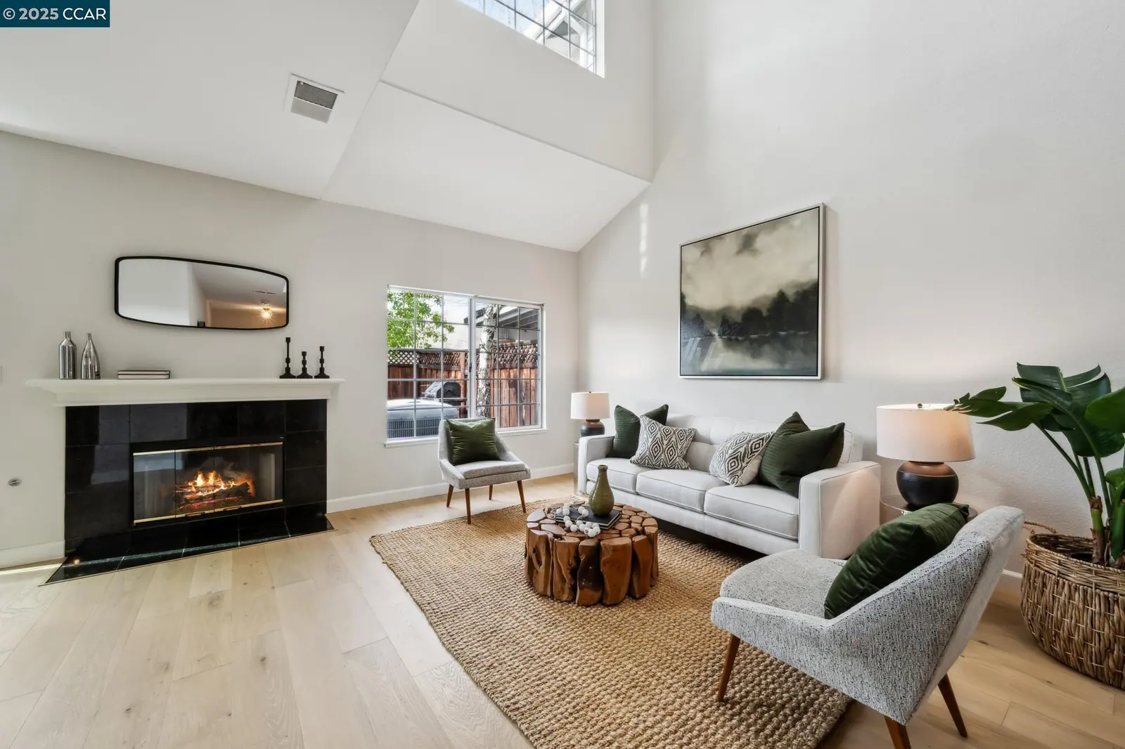 317 W Meadows Ln — completed, photograph 4